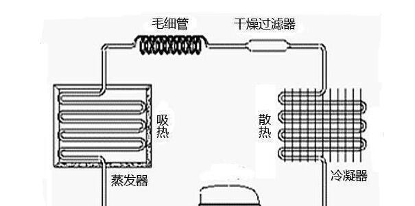 冰箱冰冻层不制冷怎么办？清洗步骤和技巧是什么？